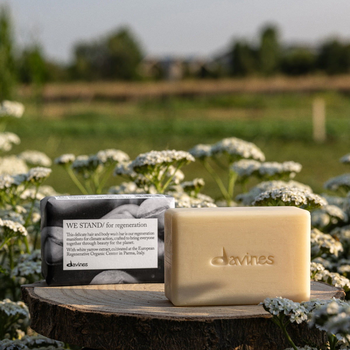 We Stand For Regeneration Bar