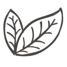 //uk.davines.com/cdn/shop/t/4/assets/davines-line-single-shampoo-deco-1.png?v=183516140813493506251603907942