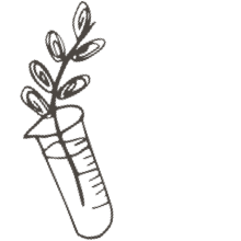 //uk.davines.com/cdn/shop/t/4/assets/davines-line-single-shampoo-deco-3.png?v=134859518317833459071603907956