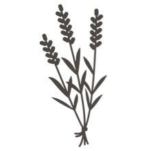 //uk.davines.com/cdn/shop/t/4/assets/davines-line-single-shampoo-deco-4.png?v=10996012474181549121603907949