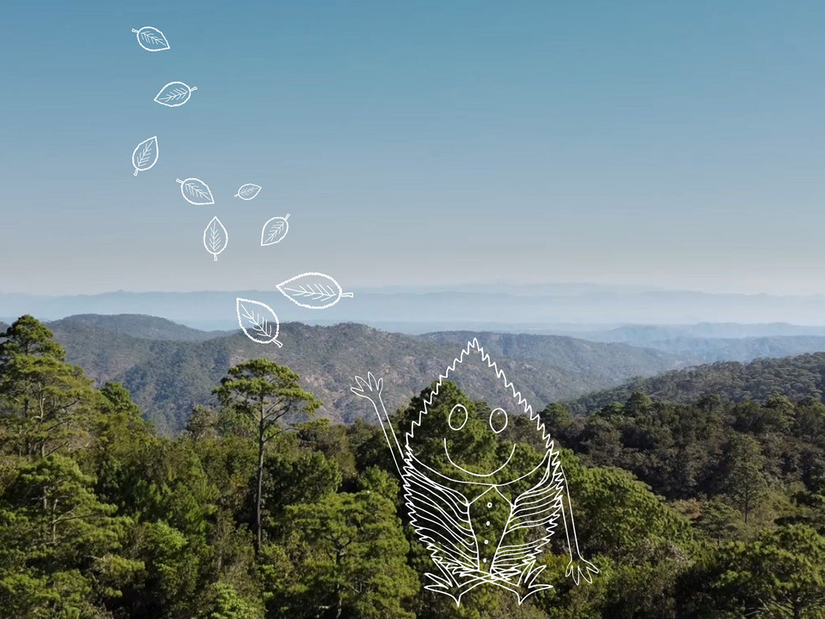 Davines - Green Friday 2023