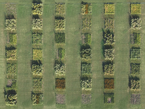 What is Regenerative Beauty?