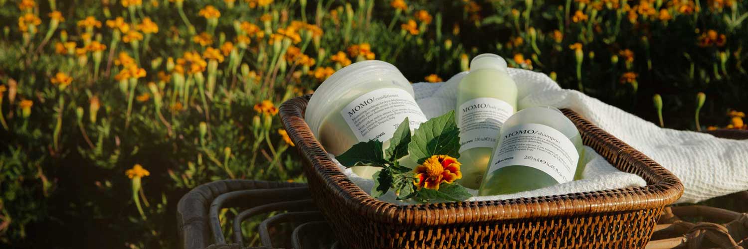 Spring Haircare Guide