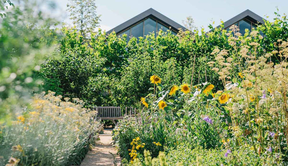 Discover Davines Village