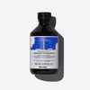 REBALANCING Shampoo Rebalancing shampoo for scalps with sebum hyper-production. 250 ml  Davines